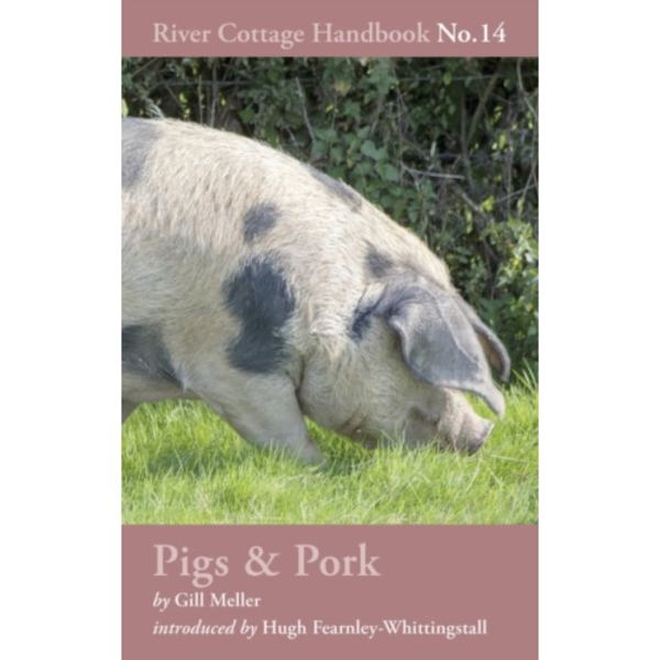 Pigs & Pork (inbunden, eng)