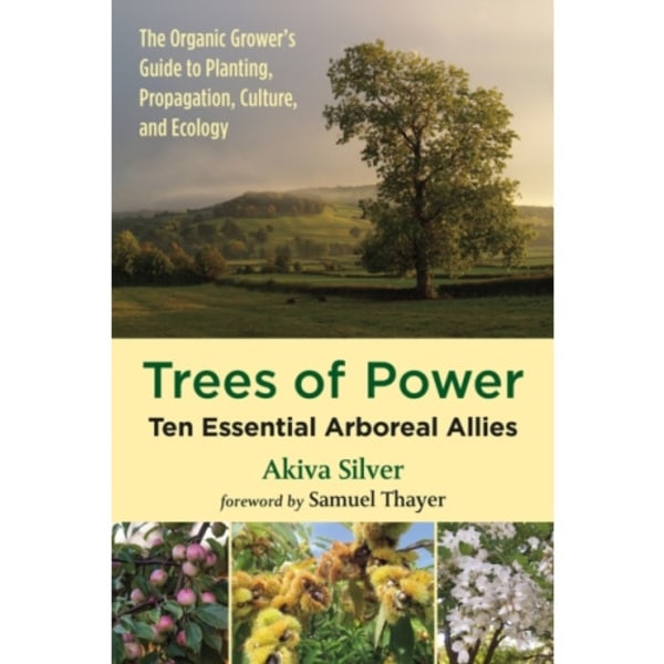 Trees of Power (häftad, eng)