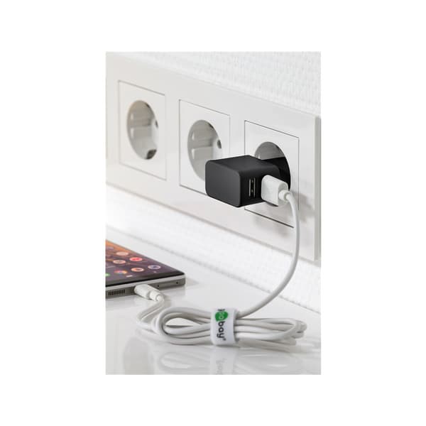 goobay strömadapter - USB - 12 watt