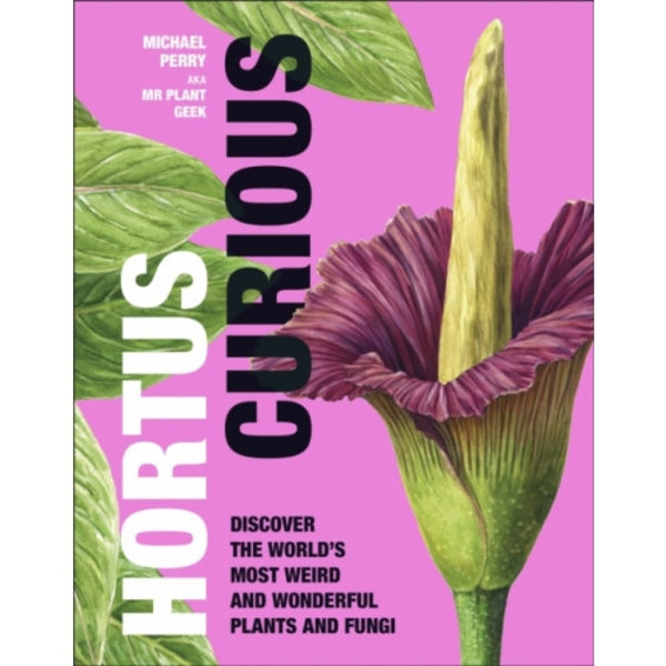 Hortus Curious (inbunden, eng)
