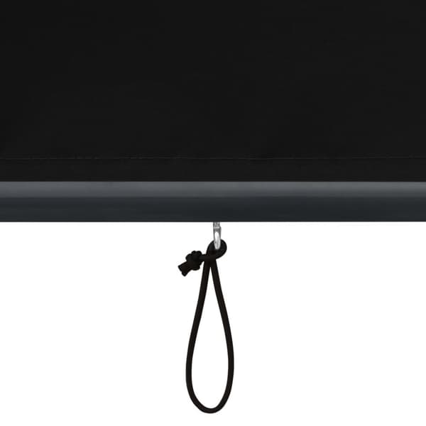 Rullgardin utomhus 160x250 cm antracit