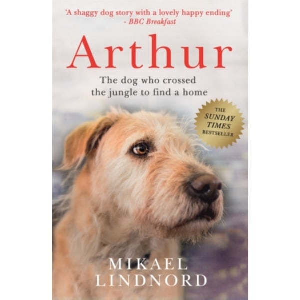 Arthur the King (häftad, eng)