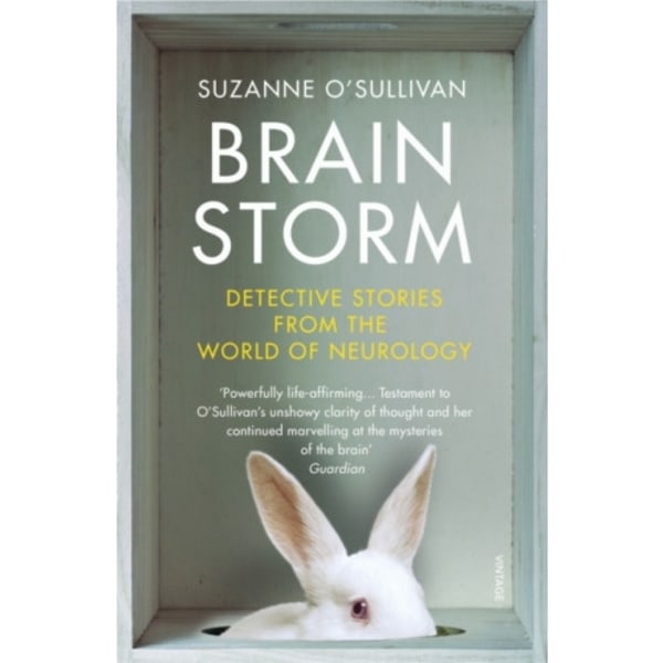 Brainstorm (häftad, eng)