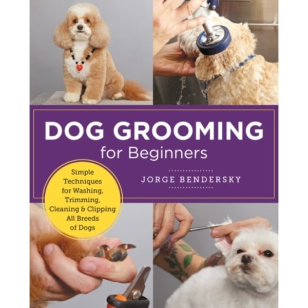 Dog Grooming for Beginners (häftad, eng)