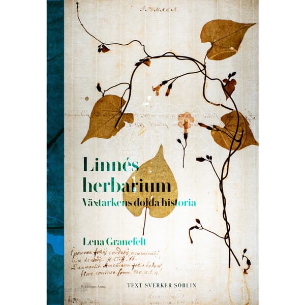 Linnés herbarium : växtarkens dolda historia (inbunden)