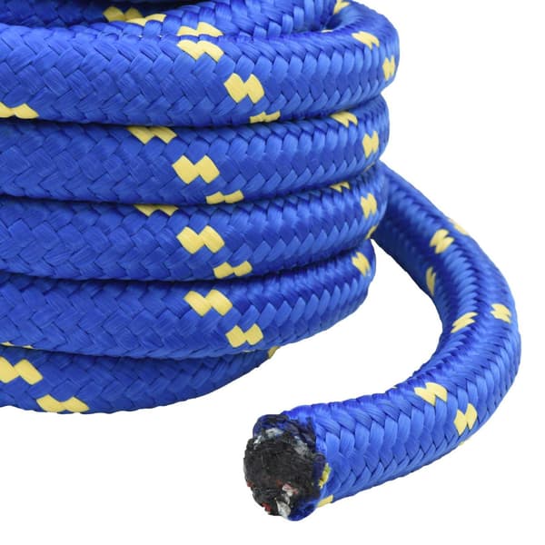 Båtsnöre 10 m 6 Blå PP