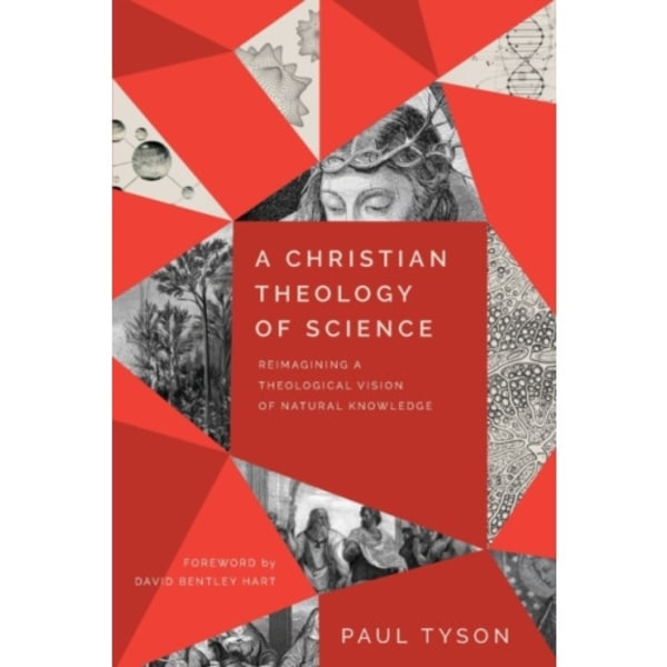 A Christian Theology of Science – Reimagining a Theological Vision of Natural Knowledge (häftad, eng)
