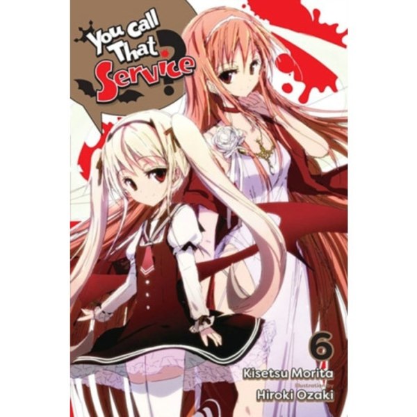You Call That Service?, Vol. 6 (light novel) (häftad, eng)