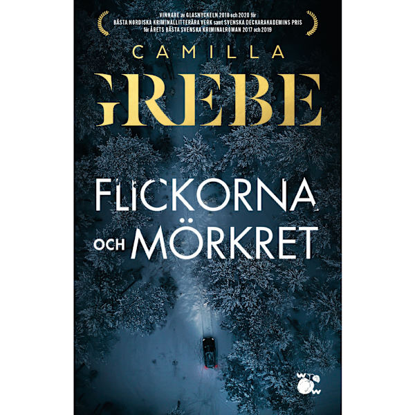 Flickorna och Mörkret (bok, storpocket)