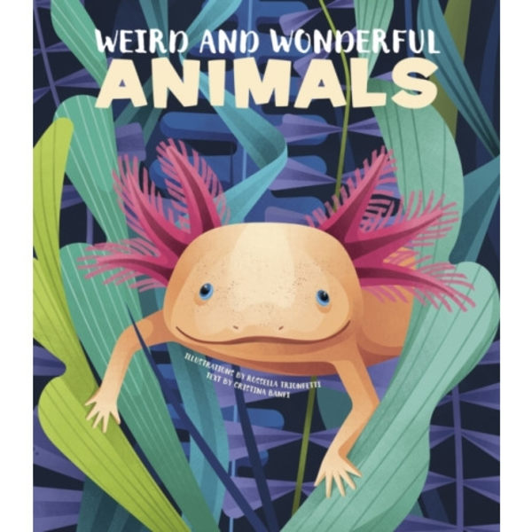 Weird and Wonderful Animals (inbunden, eng)