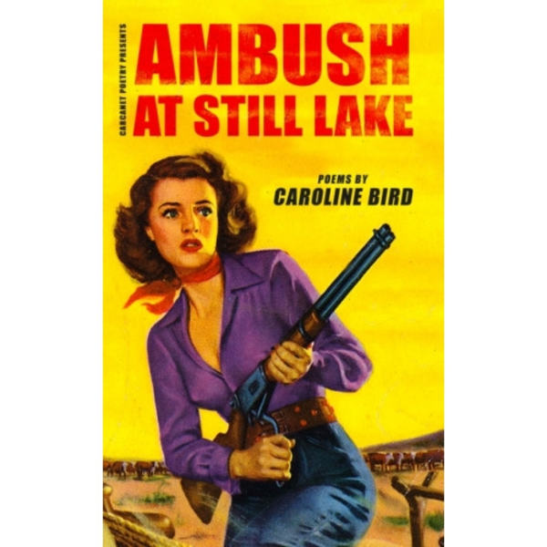 Ambush at Still Lake (häftad, eng)