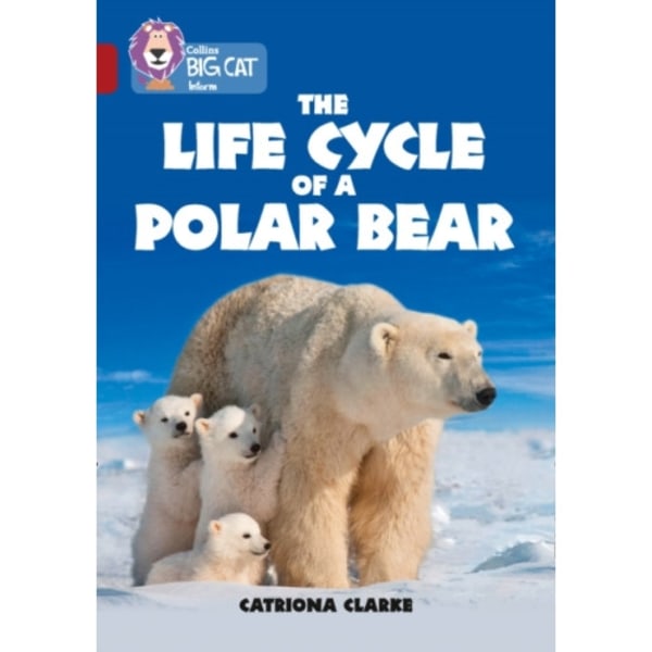 The Life Cycle of a Polar Bear (häftad, eng)