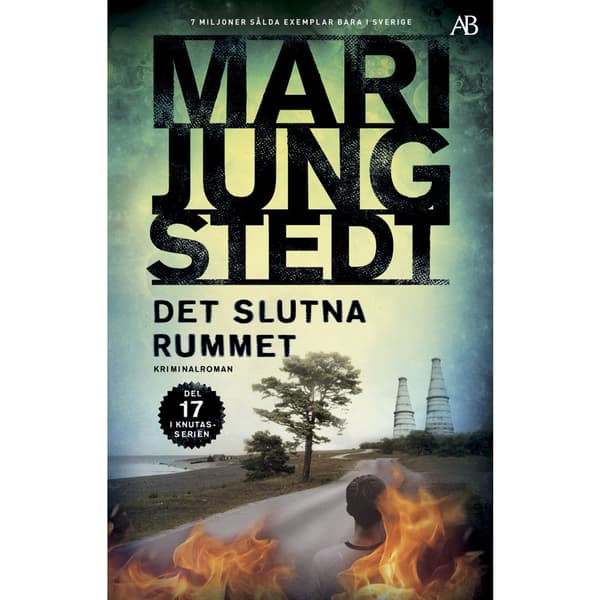 Det slutna rummet (bok, storpocket)