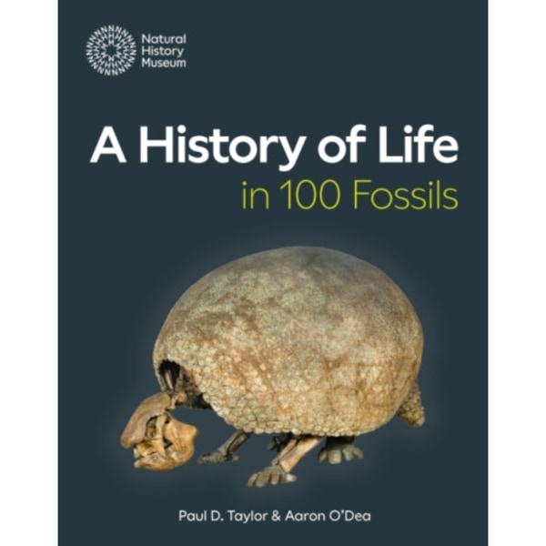 A History of Life in 100 Fossils (häftad, eng)