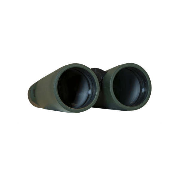 Focus Observer 8x56 HD