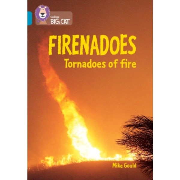 Firenadoes: Tornadoes of fire (häftad, eng)