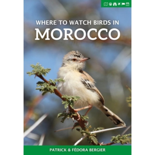 Where to Watch Birds in Morocco (häftad, eng)