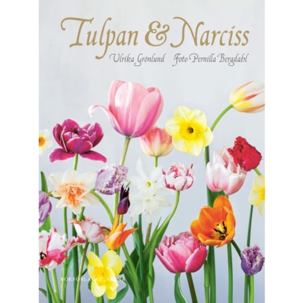 Tulpan & narciss (inbunden)