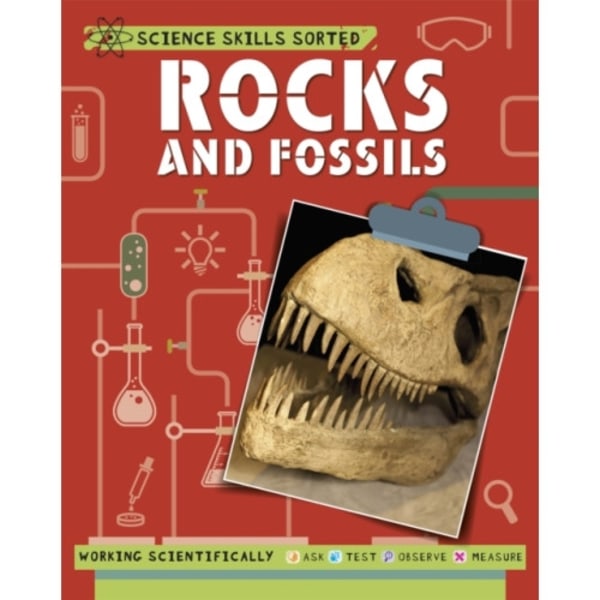 Science Skills Sorted!: Rocks and Fossils (häftad, eng)