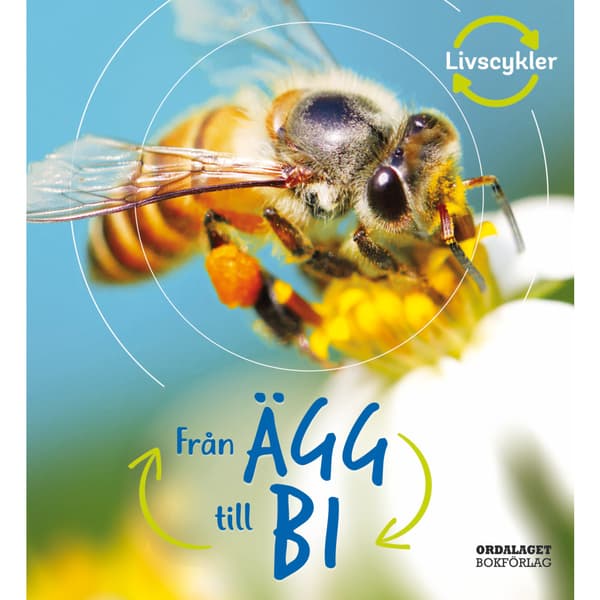 Från ägg till bi (inbunden)
