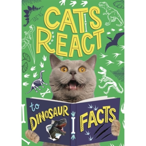 Cats React to Dinosaur Facts (inbunden, eng)