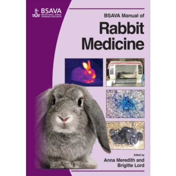 BSAVA Manual of Rabbit Medicine (häftad, eng)