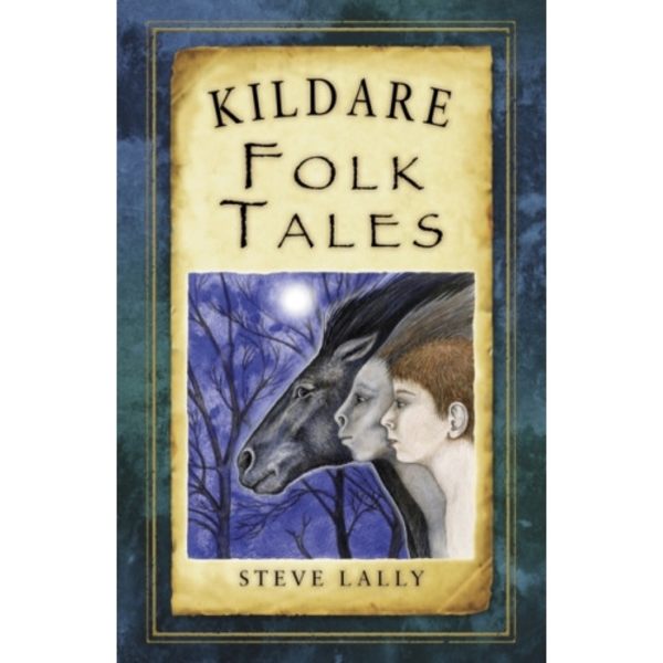 Kildare Folk Tales (häftad, eng)