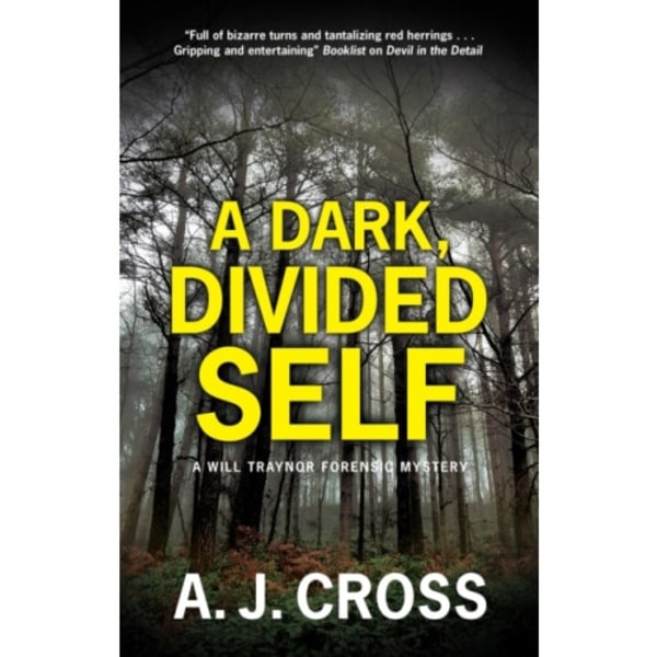 A Dark, Divided Self (inbunden, eng)