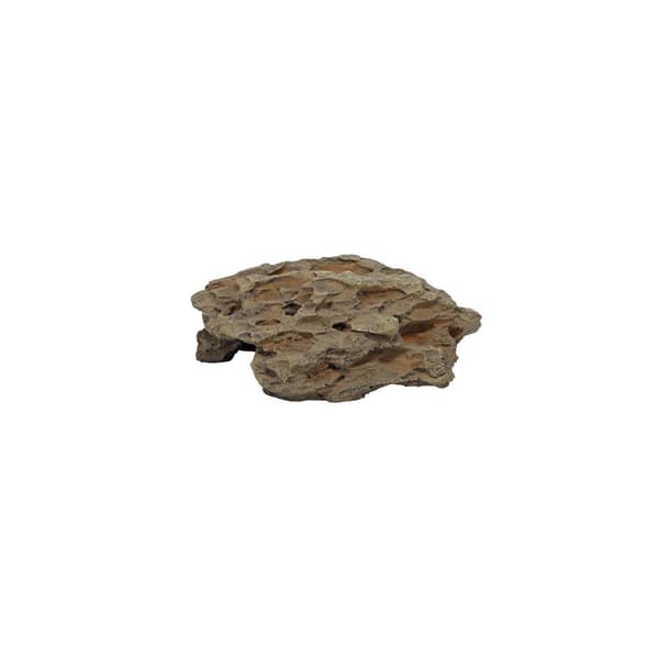 Comb Cave 2 Brun