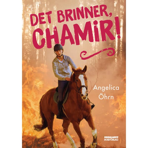 Det brinner, Chamir! (bok, kartonnage)
