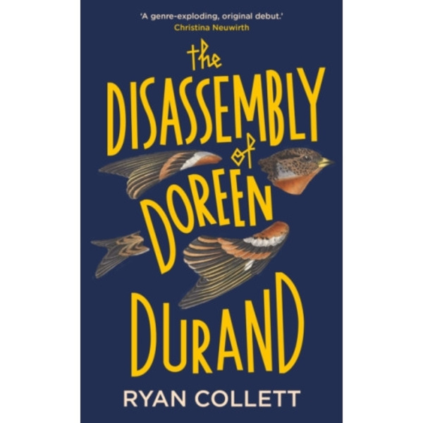 The Disassembly of Doreen Durand (inbunden, eng)