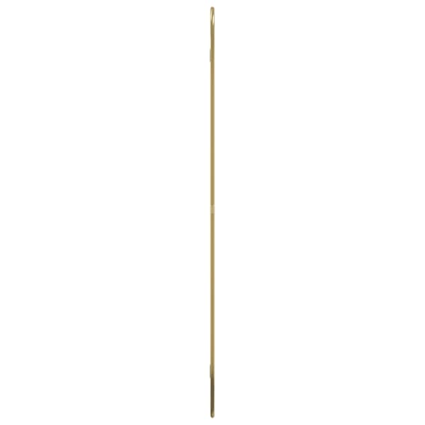 Väggspegel guld 80x50 cm