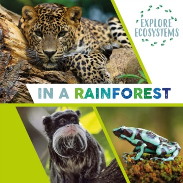 Explore Ecosystems: In a Rainforest (häftad, eng)