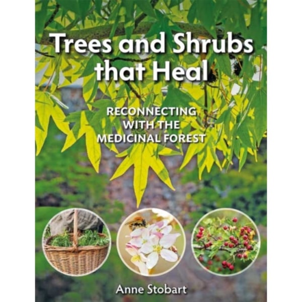 Trees and Shrubs that Heal (häftad, eng)