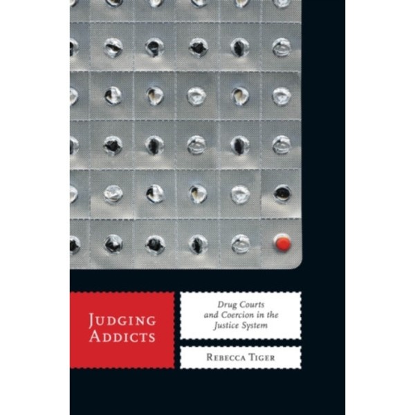 Judging Addicts (häftad, eng)