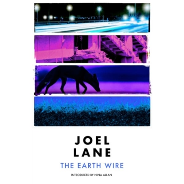 The Earth Wire (häftad, eng)