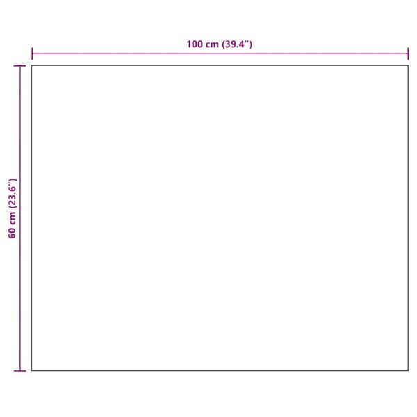 Spegel utan ram 100x60 cm glas