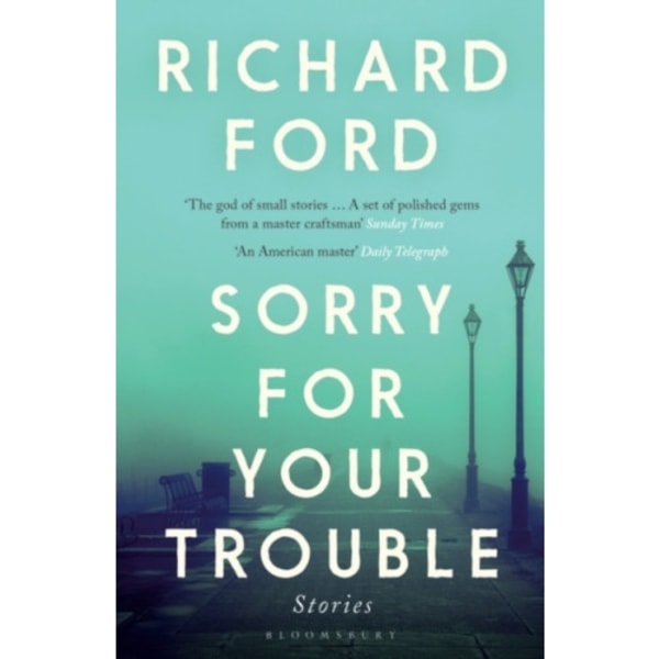 Sorry For Your Trouble (häftad, eng)