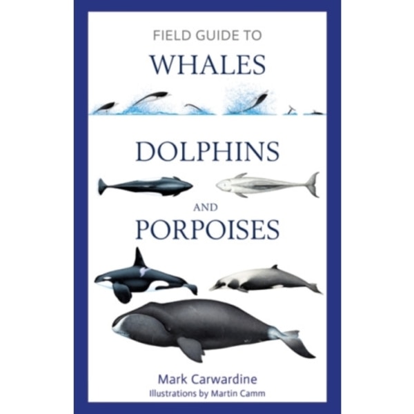 Field Guide to Whales, Dolphins and Porpoises (häftad, eng)