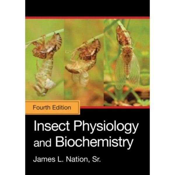 Insect Physiology and Biochemistry (inbunden, eng)