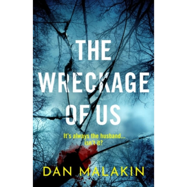 The Wreckage of Us (inbunden, eng)