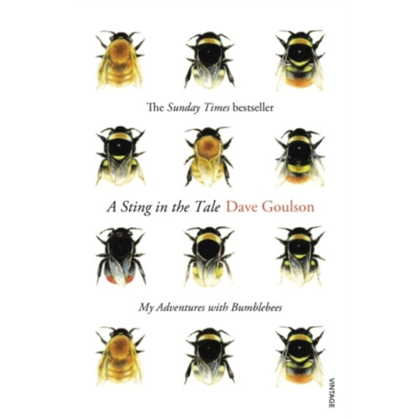 A Sting in the Tale (häftad, eng)