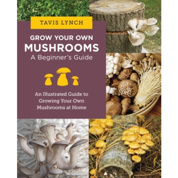 Grow Your Own Mushrooms: A Beginner's Guide (häftad, eng)
