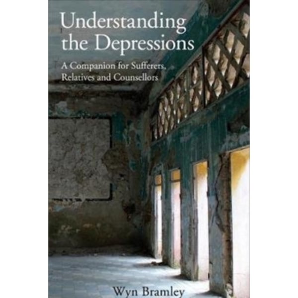 Understanding the Depressions (häftad, eng)