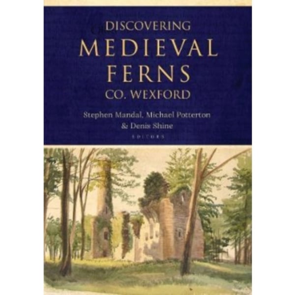 Discovering Medieval Ferns, Co. Wexford (häftad, eng)
