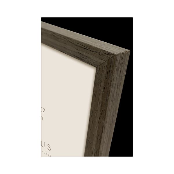 Focus Willow Walnut 50x70 Acrylic Glass