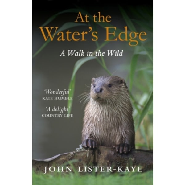 At the Water's Edge (häftad, eng)