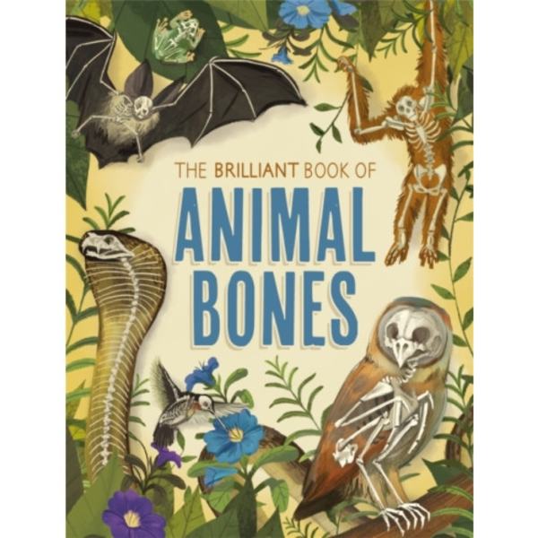 The Brilliant Book of Animal Bones (häftad, eng)