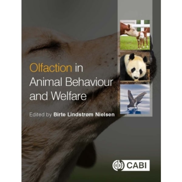 Olfaction in Animal Behaviour and Welfare (häftad, eng)