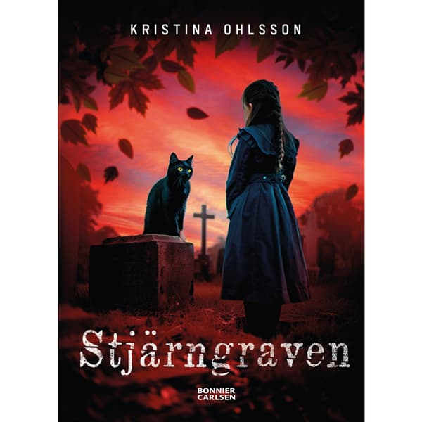 Stjärngraven (bok, kartonnage)